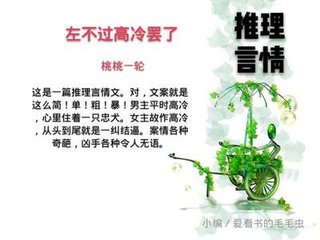 灌篮高手第二部小说